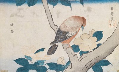 Untitled by Kitao Masayoshi